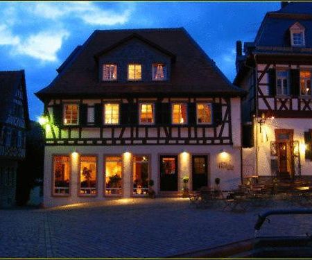 巴丁别墅酒店 Heppenheim  外观 照片